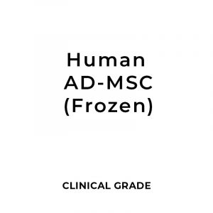 Clinical Grade Human Adipose Mesenchymal Stem Cells (hAD-MSCs) 1 - 100 Million Cells (Frozen)