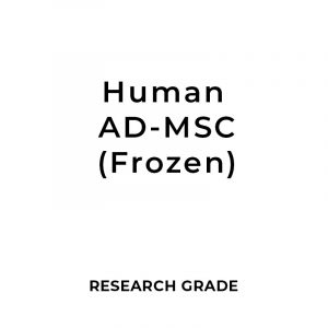 Research Grade Human Adipose Mesenchymal Stem Cells (hAD-MSCs) 1 - 10 Million Cells (Frozen)