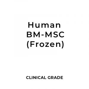 Clinical Grade Human Bone Marrow Mesenchymal Stem Cells (hBM-MSCs) 1 - 100 Million Cells (Frozen)