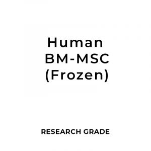Research Grade Human Bone Marrow Mesenchymal Stem Cells (hBM-MSCs) 1 - 10 Million Cells (Frozen)