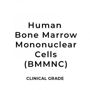Clinical Grade Human Bone Marrow Mononuclear Cells (hBM-MNCs) 5 - 100 Million Cells (Frozen)