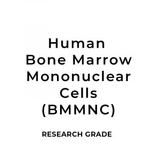 Research Grade Human Bone Marrow Mononuclear Cells (hBM-MNCs) 5 - 50 Million Cells (Frozen)