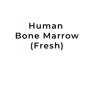 Clinical Grade Human Bone Marrow (hBM) 80-100ml Fresh