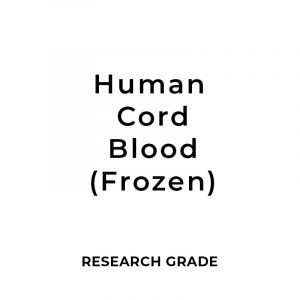 Human Cord Blood (hCB) 1 Unit (Fresh)