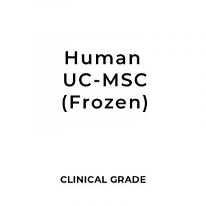 Clinical Grade Human Umbilical Cord Tissue Mesenchymal Stem Cell (hUC-MSCs) 1 - 100 Million Cells (Frozen)