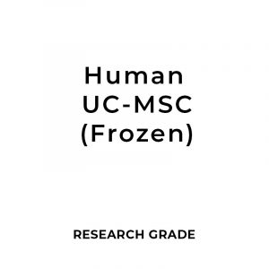 Research Grade Human Umbilical Cord Tissue Mesenchymal Stem Cell (hUC-MSCs) 1 - 10 Million Cells (Frozen)